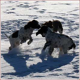 Begrüßung im Schnee