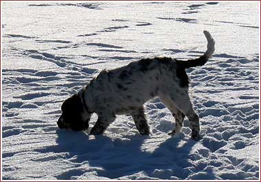 schon auf der Fährte?