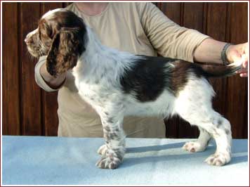 Jemu's Arri The Best