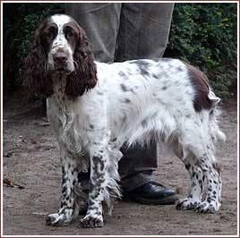 Bin ich nicht schön?!