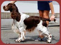 Sieger's Upon First Class