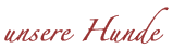 Unsere Hunde